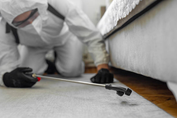 Professional Bed Bug Control technician working in Enosburg Falls, VT