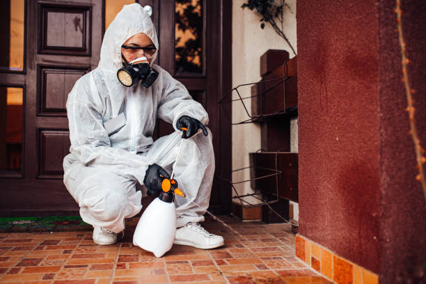 Reliable Bed Bug Control contractor in Enosburg Falls, VT by Nex Pest Control
