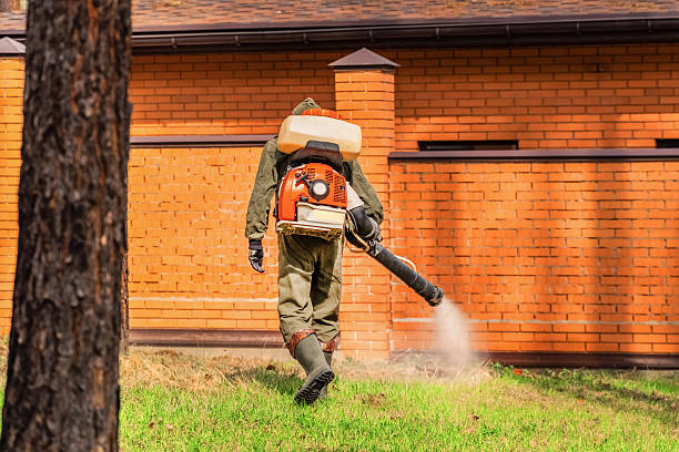 Trusted Termite Control service in Enosburg Falls, VT - Nex Pest Control